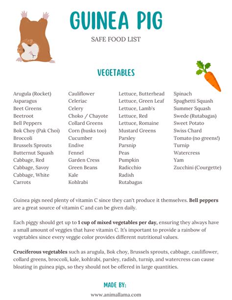 Safe Fresh Food List For Guinea Pigs Vegetables Fruits And Herbs Pets