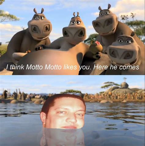 Sal Likes You Moto Moto Likes You Know Your Meme