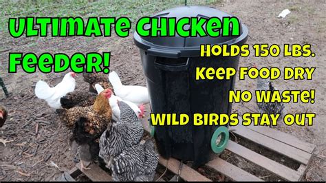 Diy Automatic Chicken Feeder Hold 150 Lbs Of Feed Youtube