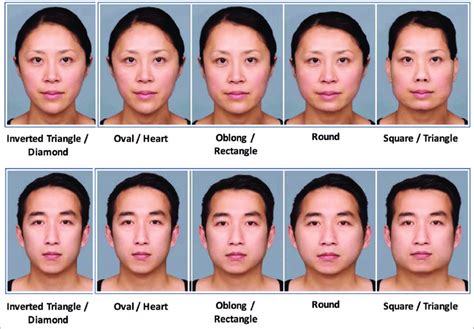 Common Face Shape Categories Download Scientific Diagram