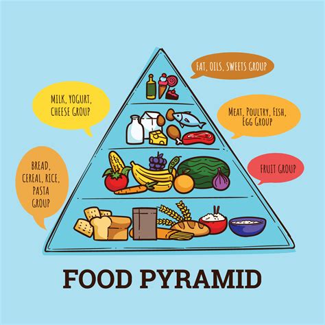 Food Pyramid Vector Art Icons And Graphics For Free Download