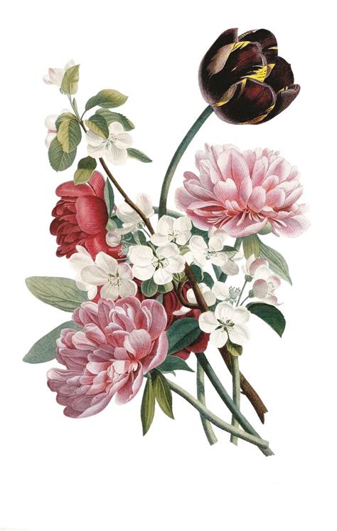 Pin By Raj Ahire On Flower Botanical Prints Watercolor Flowers