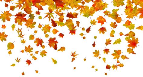 Free Fall Leaves Clipart Download Free Fall Leaves Clipart Png Images