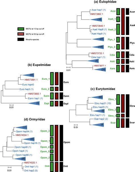 3 Neighbour Joining Trees Based On P Distances For Coi Haplotypes Of