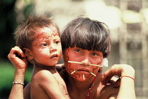 brazil yanomami by christian caron in yanomami on fotopedia povos indígenas brasileiros