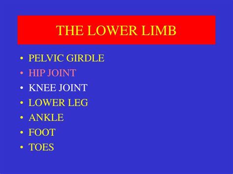 Ppt The Lower Limb Powerpoint Presentation Free Download Id3082751