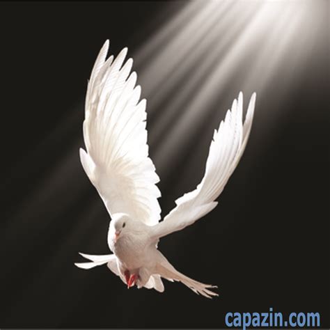 Outpouring Of Holy Spirit Capazin