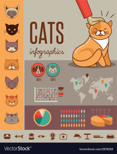 Cat Infographics With Icons Set Royalty Free Vector Image