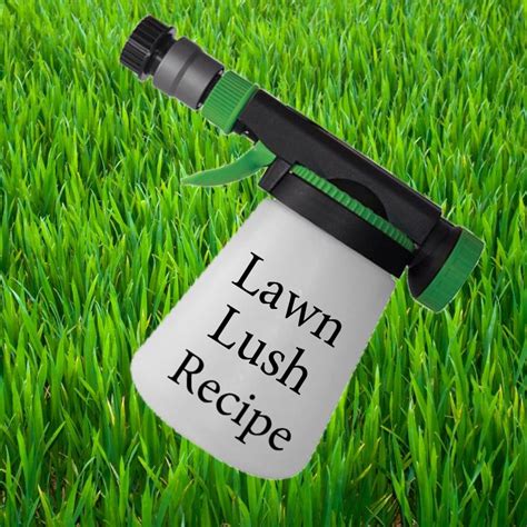 Healthy Summer Lawn In 4 Easy Steps With Lawn Lush Recipe Lush Lawn