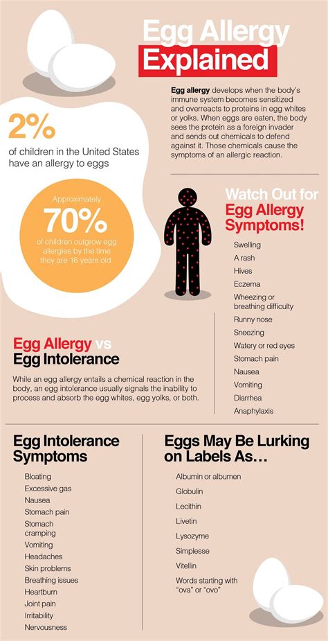 Egg Allergy Food List