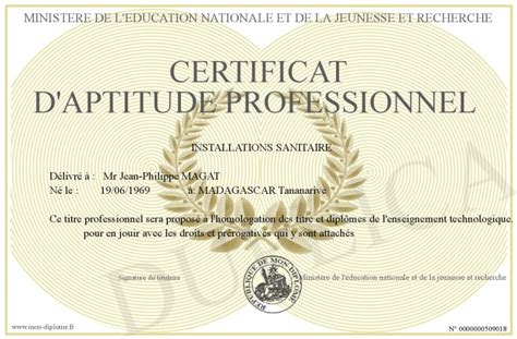 Certificat D Aptitude Professionnel