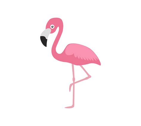 Vector Illustration Pink Flamingo Isolated On White Background 531754
