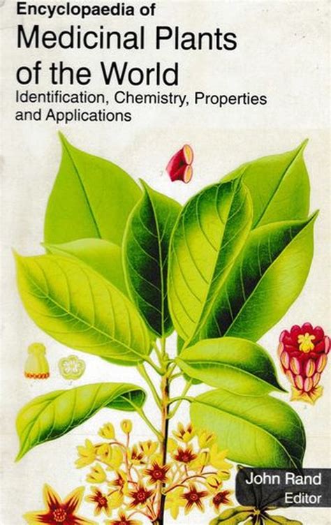 Encyclopaedia Of Medicinal Plants Of The World Identification