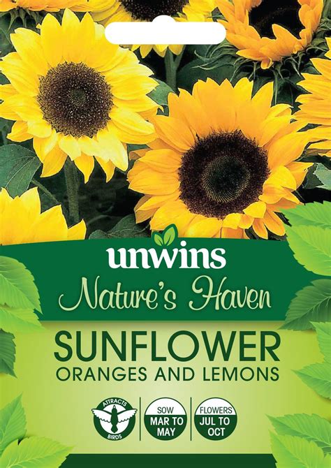 Natures Haven Sunflower Oranges And Lemons Flower Seeds Unwins