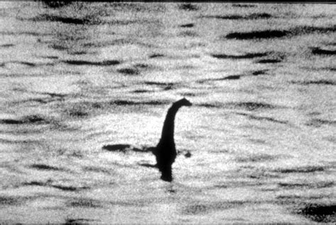 Die liste von dinosaurierfilmen listet die wichtigsten dinosaurierfilme.alle filme sind chronologisch aufgeführt, um die historische entwicklung aufzuzeigen. Monster van Loch Ness gevonden, maar toch is iedereen ...