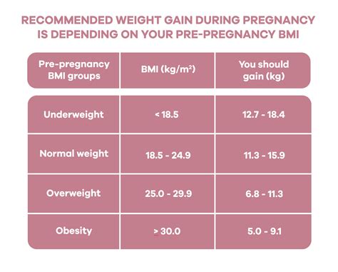 Healthy Weight Gain In Pregnancy Baby Belly Nutrition