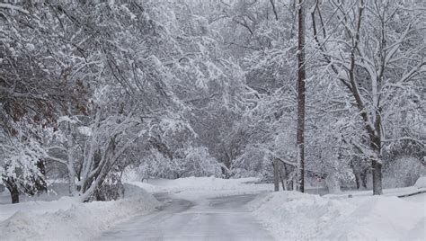 Michigan Snowfall Totals For Winter Storm Stella