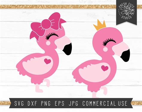 Cute Flamingo Svg Files For Cricut Flamingo Svg Cut File Etsy