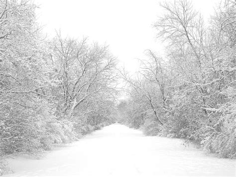Winter Snow Trail Stock Image Image Of Scene Holiday 24252663