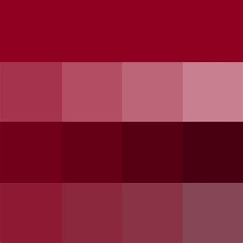 Burgundy Pantone Colori Palette