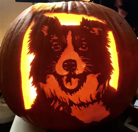 Border Collie Halloween Pumpkin Carving Stencils Dog Pumpkin