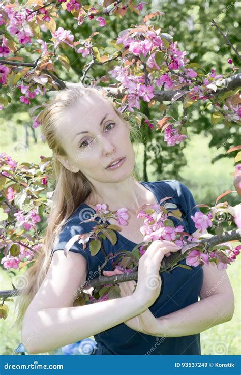 Young Attractive Woman Standing Near The Blossoming Crimson Apple Tree Stock Image Image Of