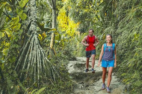 Hawaii Hiking Hikers On Kalalau Trail Hike Walking In Rainforest With Tropical Trees Tourists
