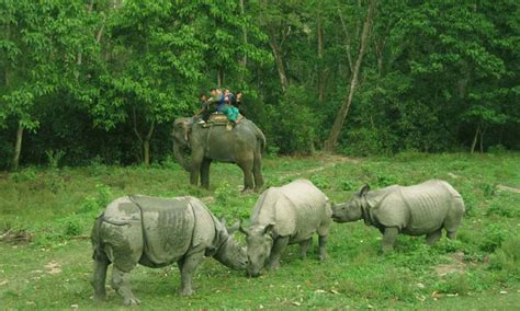A little bit of history. Chitwan Tour 3 days - Chitwan National Park Tour Kathmandu ...