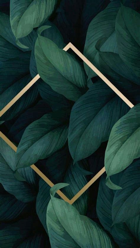 Aesthetic Leaves Wallpaper