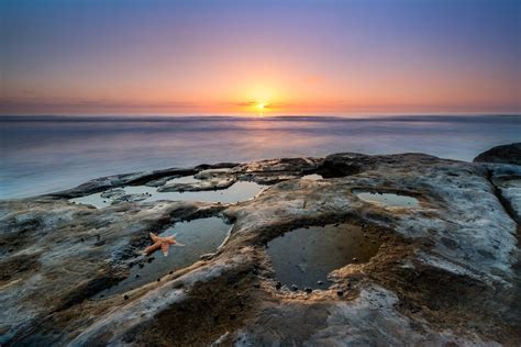 San Diego Tide Pools Guide To The 10 Most Amazing Tide Pools