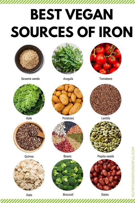 iron deficiency can be severe and those on a plant based vegan diet have an increased risk