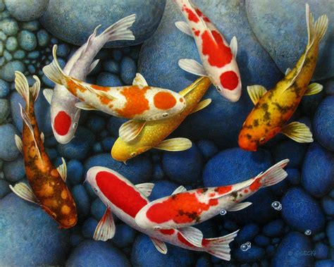 Terry Gilecki Rhythm And Blues Koi Fish Fish Painting Fish Art