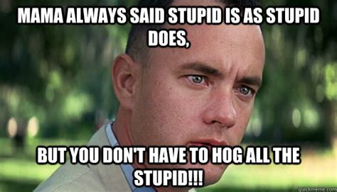 Forest Gump Stupid Is As Stupid Does Hog All Blank Template Imgflip