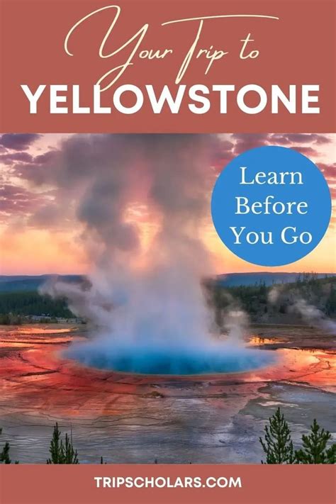 The Ultimate Guide To Planning A Trip To Yellowstone Trip Scholars
