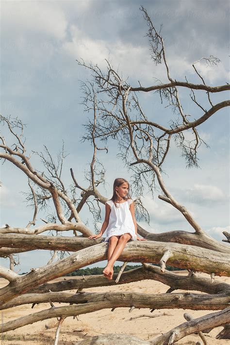 Barefoot Little Girl In White Dress Sitting On Tree Branches By