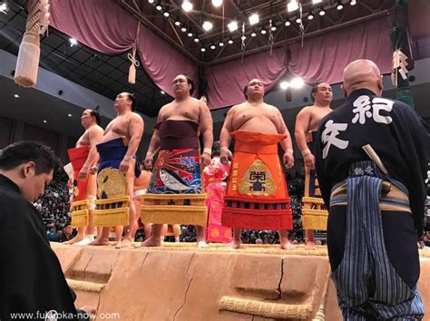 Kyushu Grand Sumo Tournament Fukuoka Now