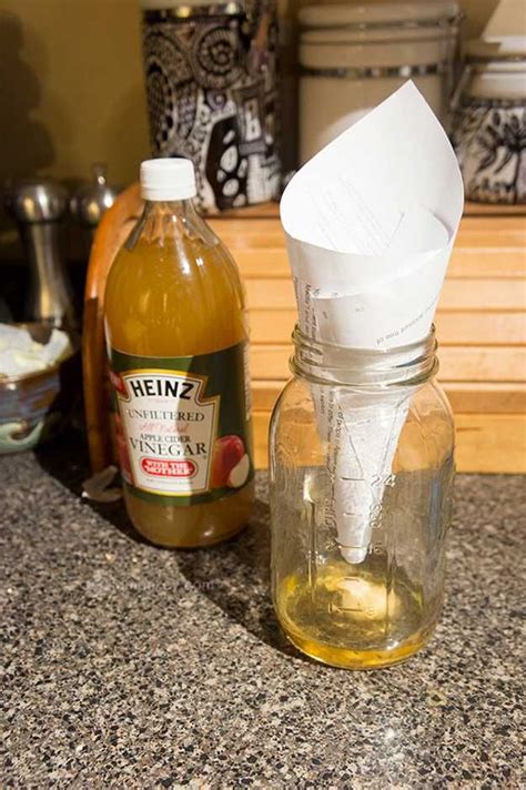 How To Get Rid Of Flies 13 Natural And Homemade Fly Repellents