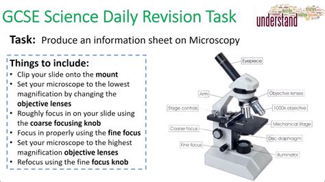 Gcse Science Daily Revision Task 5 Microscopy Youtube