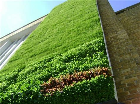 Aquadyne Future Walls Made In Uk Metal Foam Green Facade Living Wall