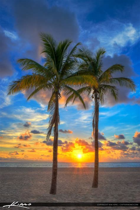 Florida Sunrise At Beach With Coconut Trees Royal Stock Photo