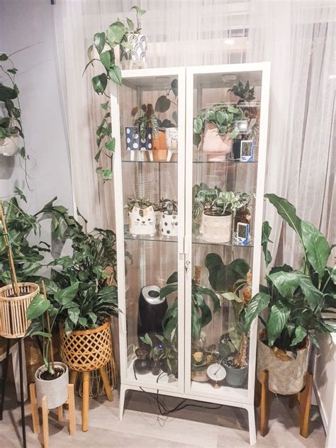 Diy greenhouse ideas to level up your gardening scheme. Milsbo IKEA Greenhouse | House plants indoor, House plants ...