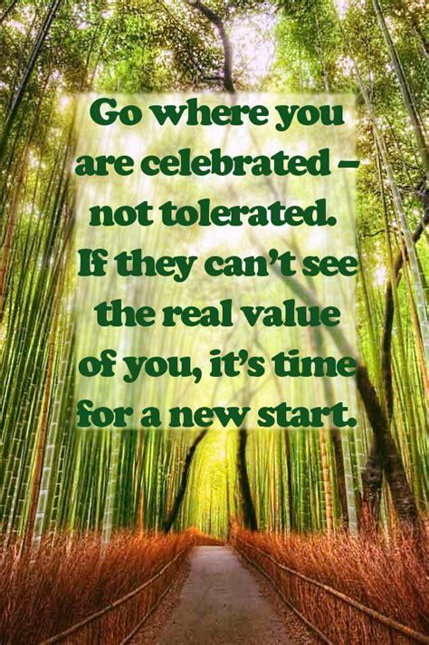 Go Where You Are Celebrated Not Tolerated Words Quotes Words Soul
