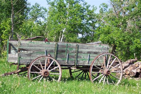 Wagon And Wood Pile Free Stock Photo Public Domain Pictures