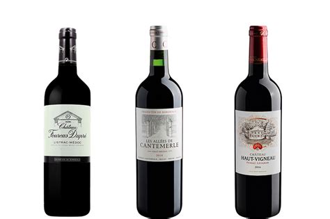 Saiba Por Que A Região De Bordeaux é Tão Importante No Mundo Do Vinho