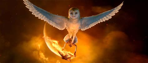 Fire Owl Wallpapers Top Free Fire Owl Backgrounds Wallpaperaccess