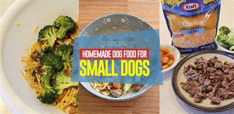 Best dog food for small breed adults. Homemade Dog Food for Small Dogs Recipe (Cheap and Easy to ...