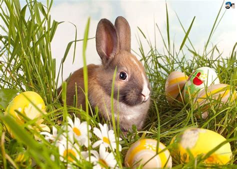 Free Easter Desktop Wallpaper Backgrounds - Wallpaper Cave