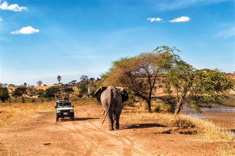 Read more about our top 10 african safari holidays from combining your safari with beach time, camping in top 10 african safaris. Top 5 Safari's in Afrika: Welk land kies je en waarom ...