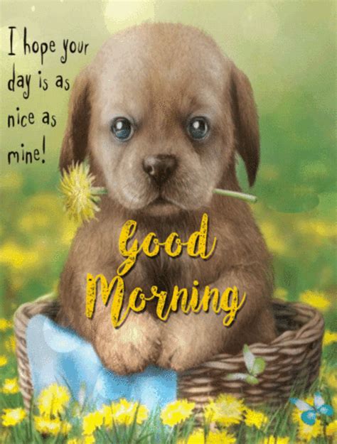 Good Morning ♡♥♡ Good Morning Animation Good Morning Puppy Cute