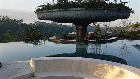 Stunning Heated Infinity Pool In Ubud Bali Youtube